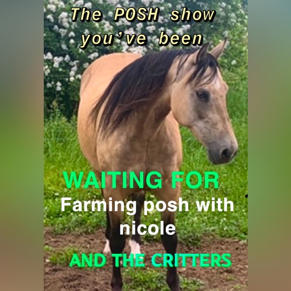 This event is postponed due to snow and rain!! - Picture 2 of 2